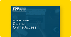 SDI Online Access
